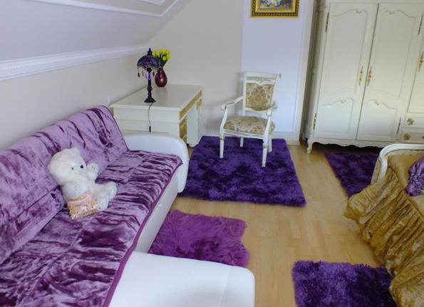 Dom Tulipan Villa Krynica Zdroj Rom bilde