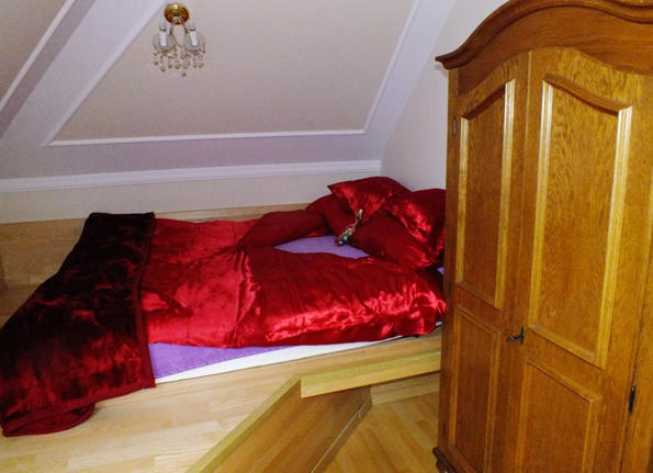 Dom Tulipan Villa Krynica Zdroj Rom bilde